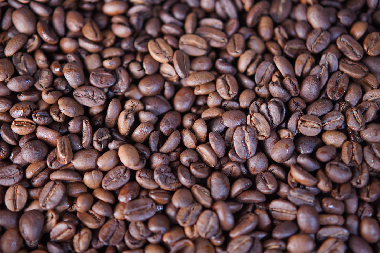 KaffeeChai - Harley Estate Single Estate Coffee