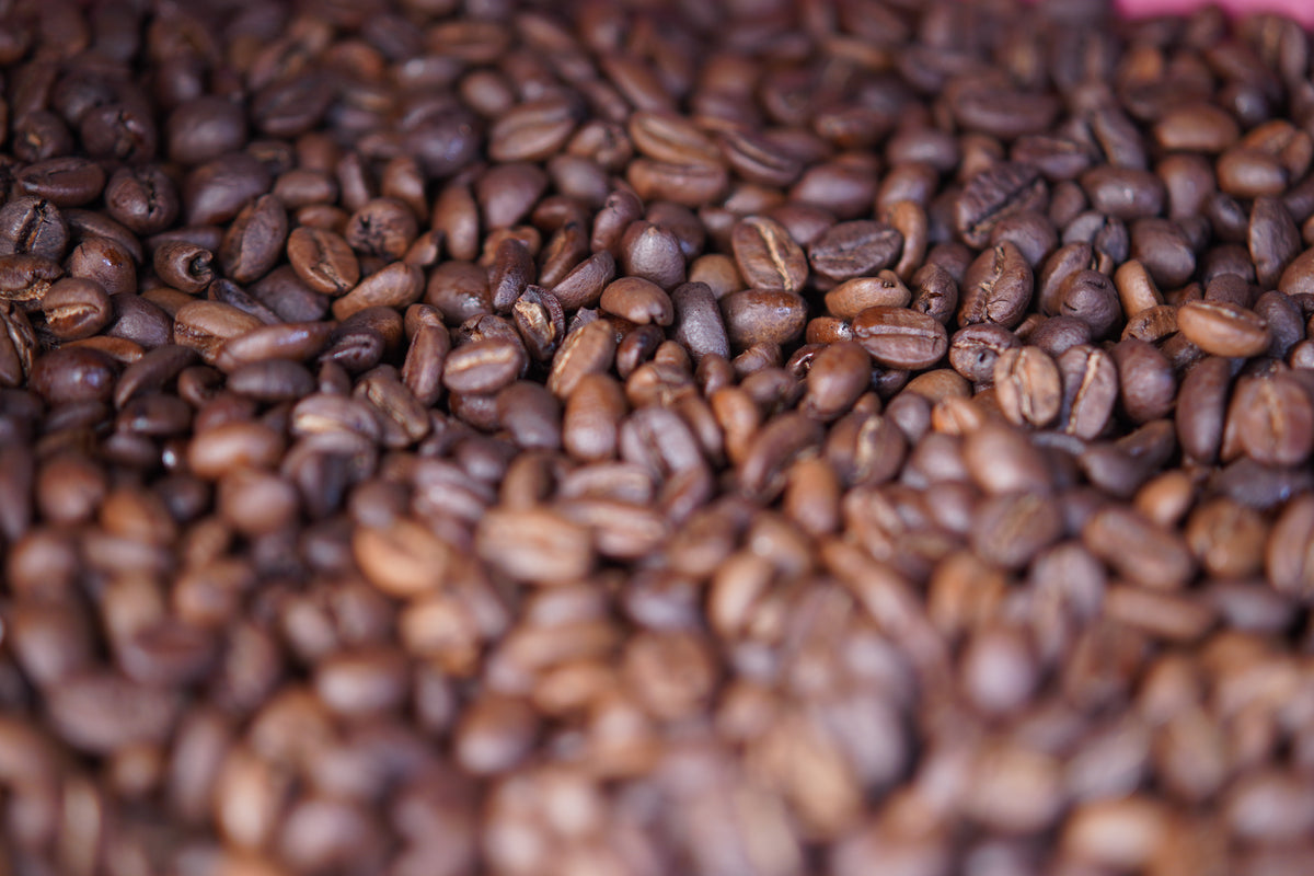KaffeeChai Arabica Royale