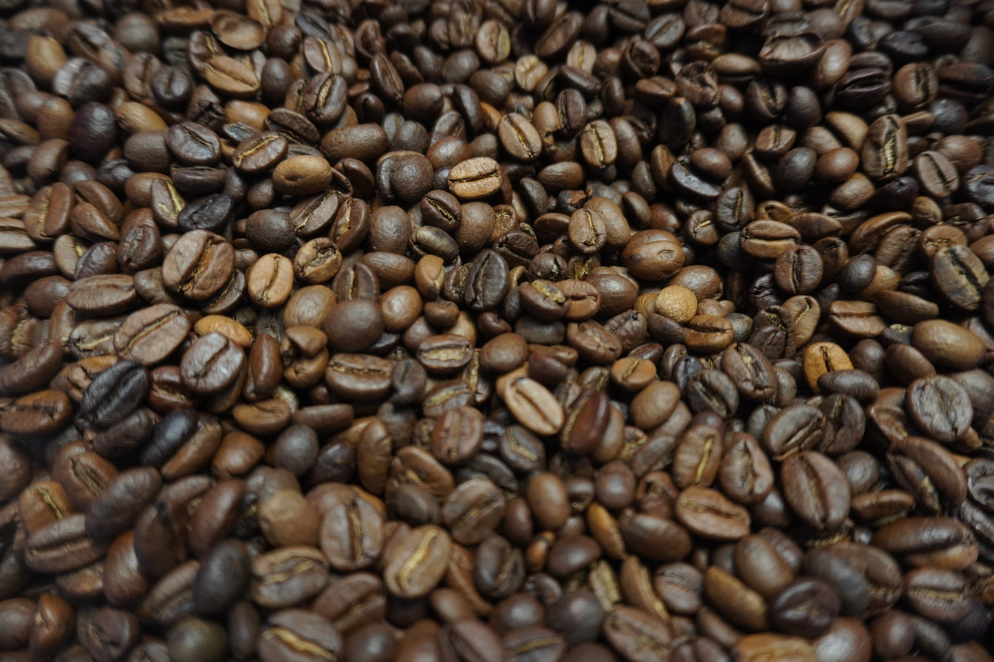 KaffeeChai - Harley Estate Single Estate Coffee1