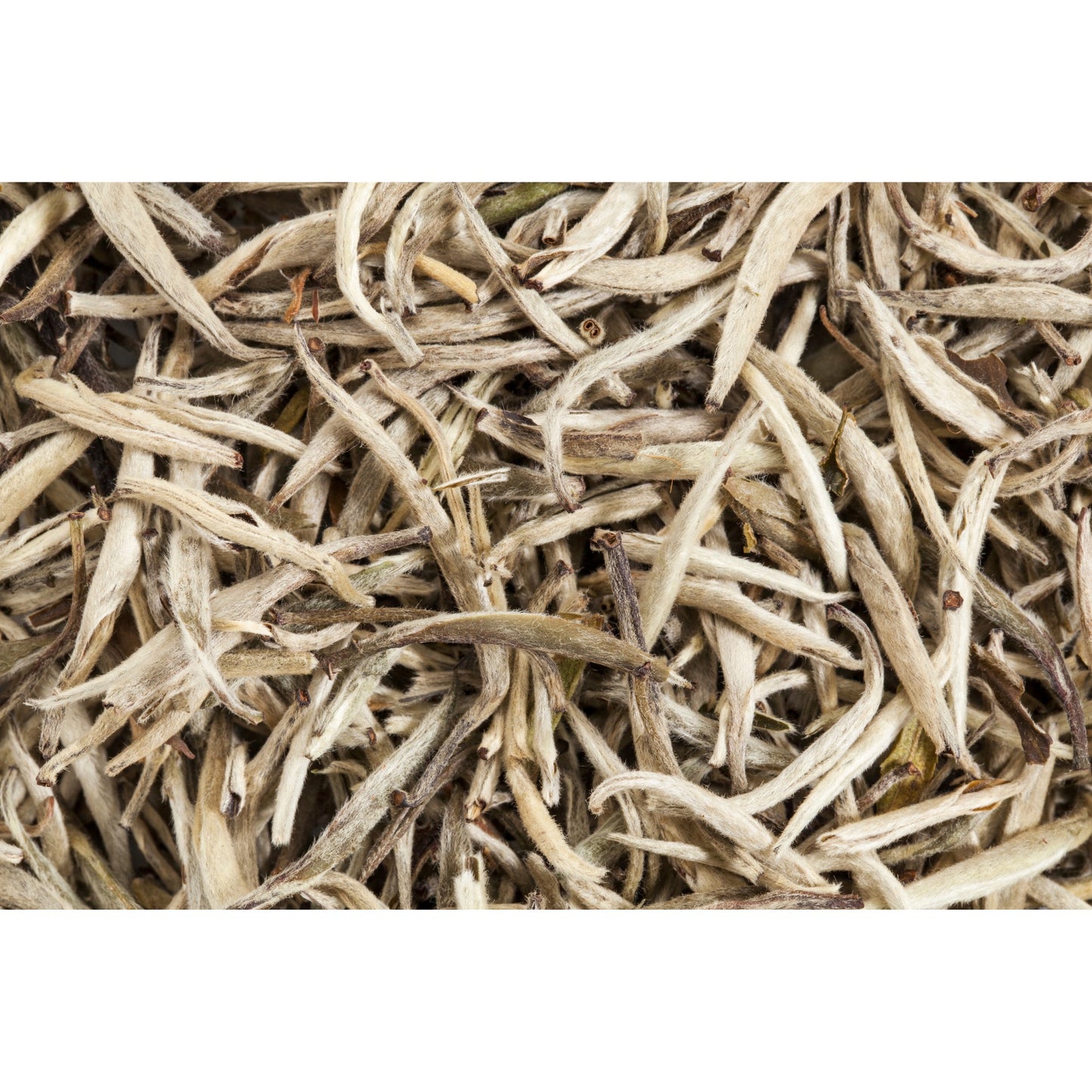 White Tea